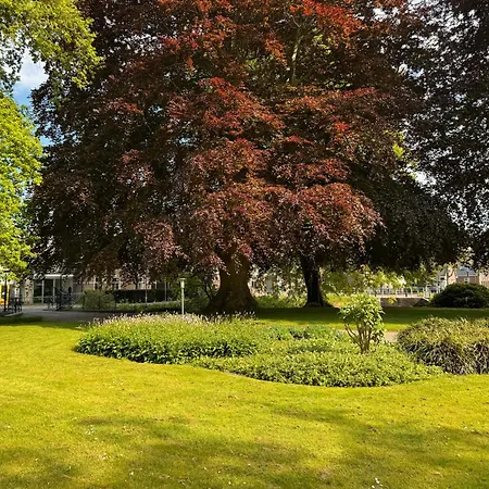 - Bed and Breakfast Abbekerk