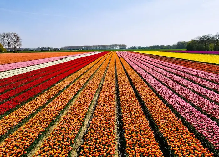 Frühstückspension - Abbekerk